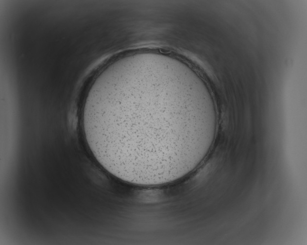 X0000100941406200807151256