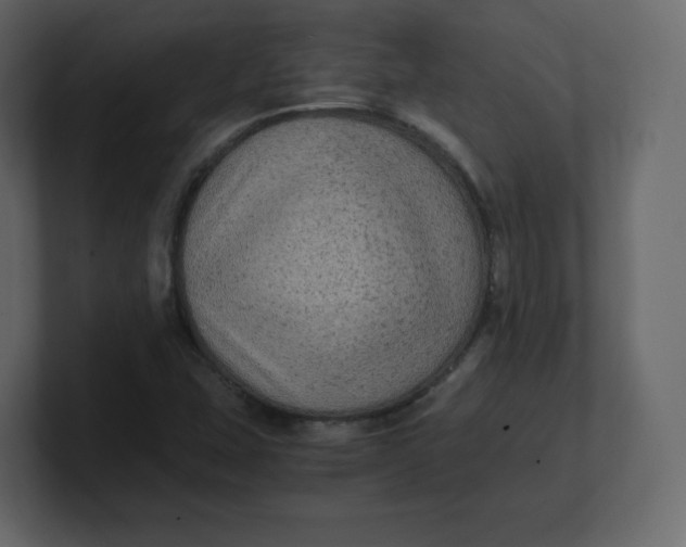 X0000100941407200807151256