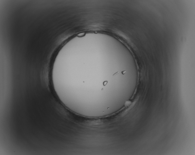 X0000100941410200807151256