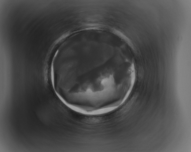 X0000100941411200807151256