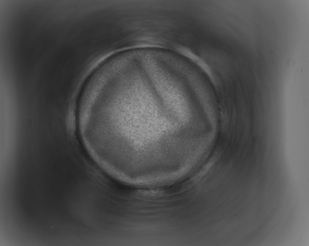 X0000100941415200807151256