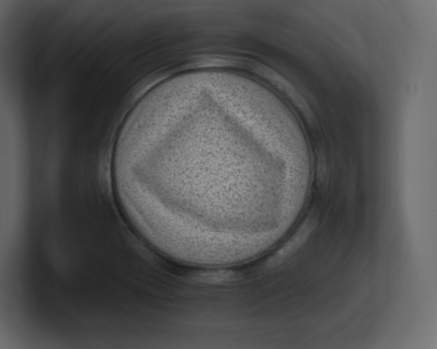 X0000100941417200807151256