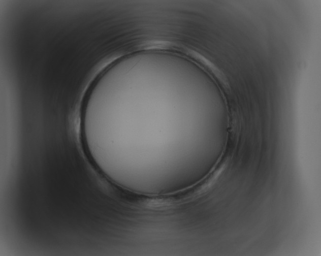 X0000100941418200807151256