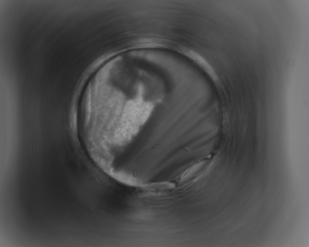 X0000100941419200807151256