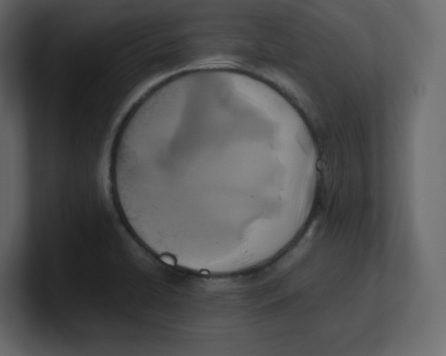 X0000100941422200807151256