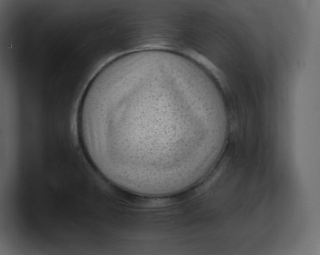 X0000100941423200807151256