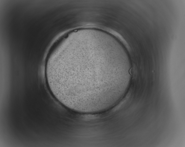 X0000100941424200807151256