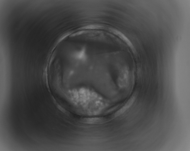 X0000100941425200807151256