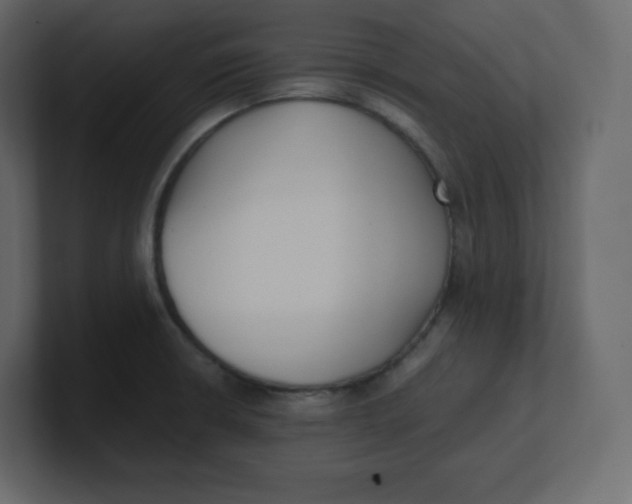 X0000100941426200807151256