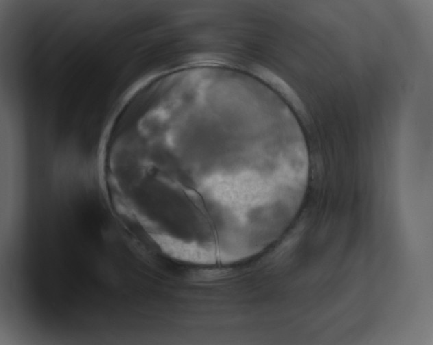 X0000100941427200807151256