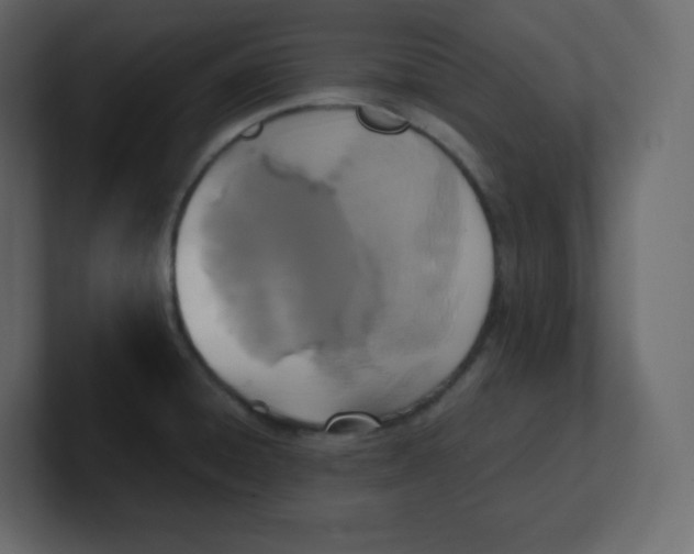 X0000100941428200807151256