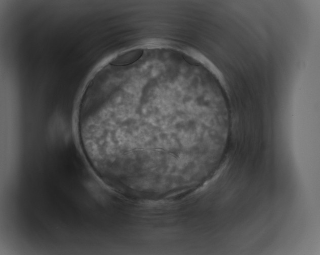 X0000100941429200807151256