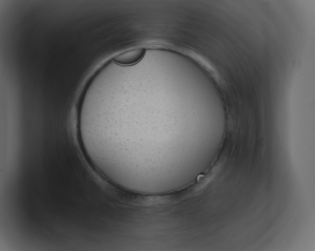 X0000100941430200807151256