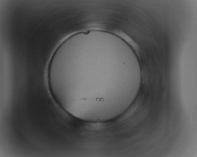 X0000100941431200807151256