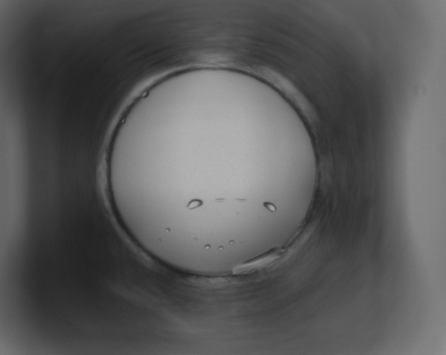 X0000100941432200807151256