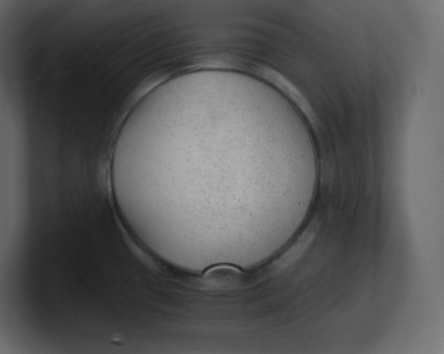 X0000100941433200807151256