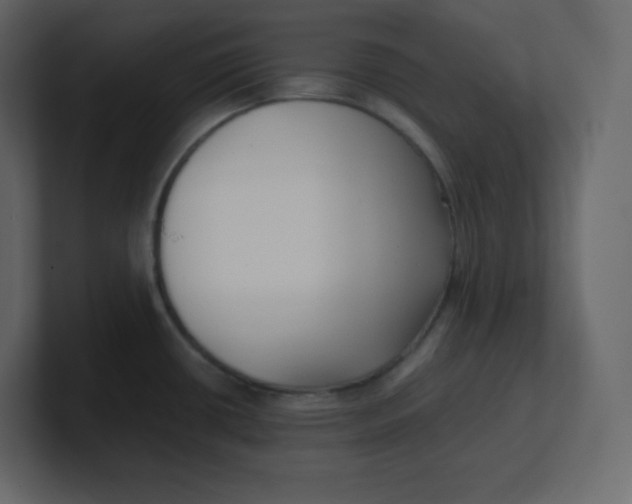 X0000100941434200807151256