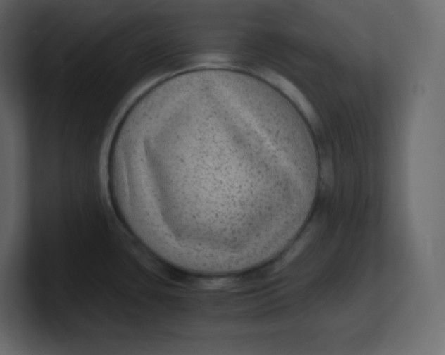 X0000100941435200807151256