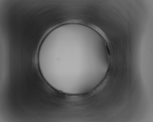 X0000100941436200807151256