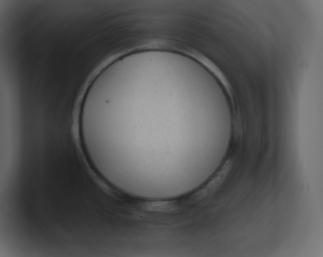 X0000100941437200807151256