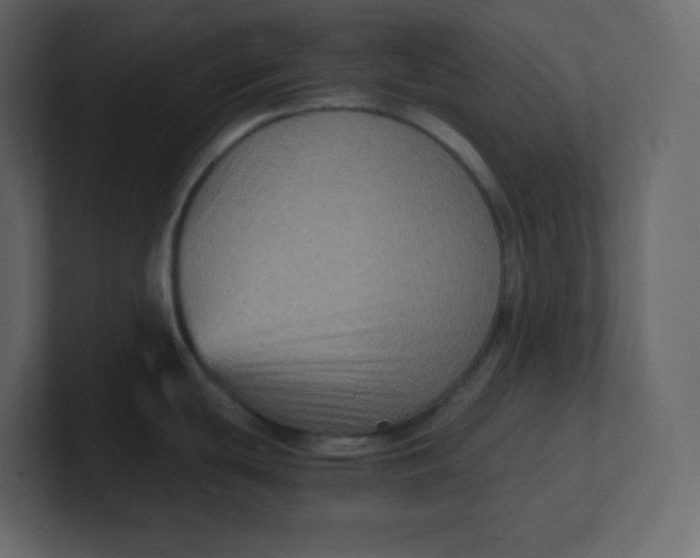 X0000100941439200807151256