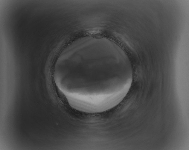 X0000100941441200807151256