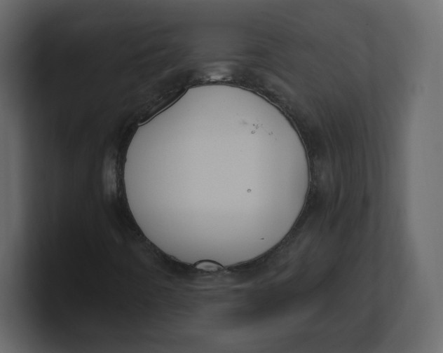 X0000100941442200807151256