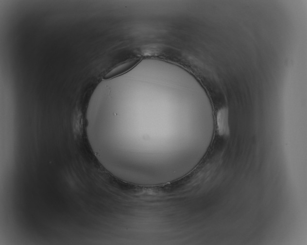 X0000100941443200807151256