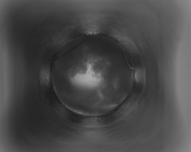 X0000100941444200807151256