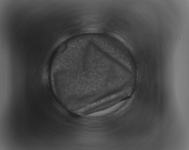 X0000100941450200807151255