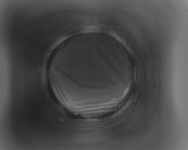 X0000100941453200807151255