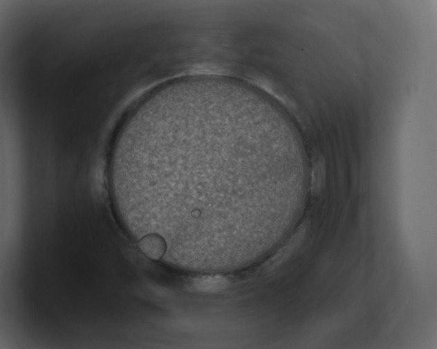 X0000100941454200807151255