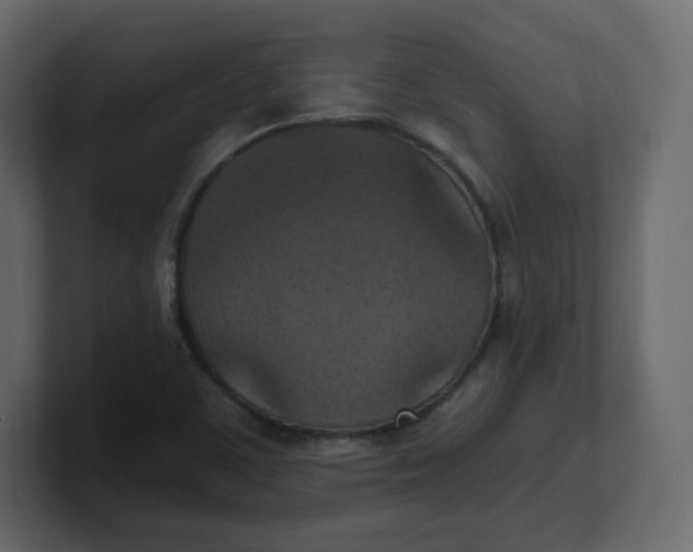 X0000100941459200807151255