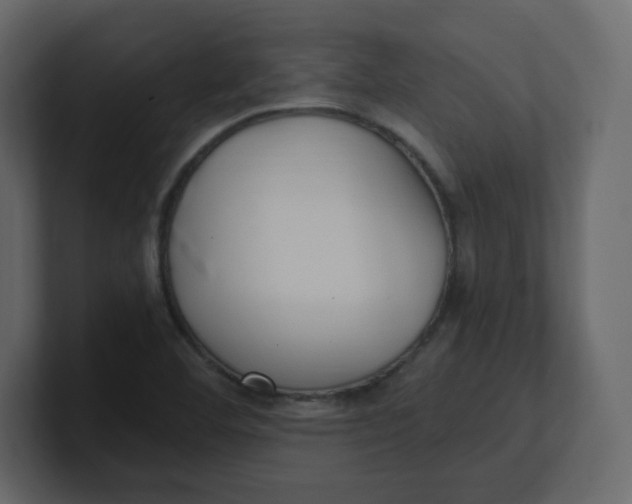 X0000100941460200807151255