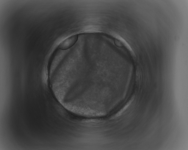 X0000100941461200807151255