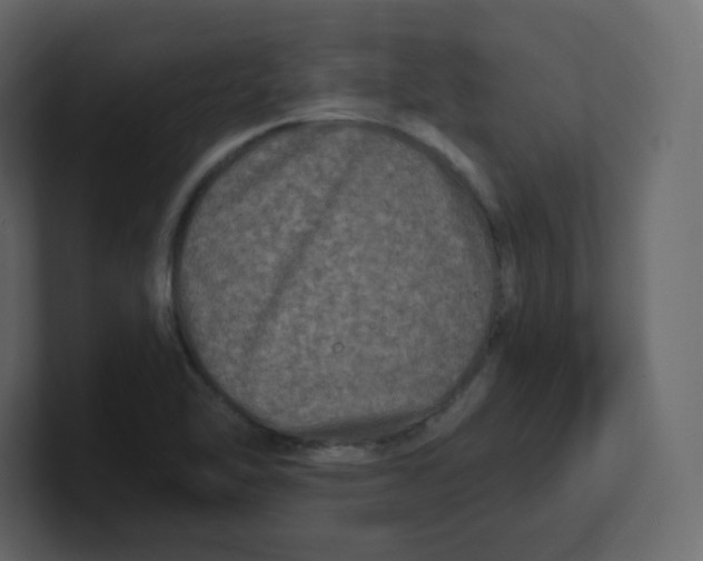 X0000100941462200807151255