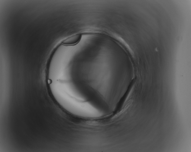 X0000100941463200807151255