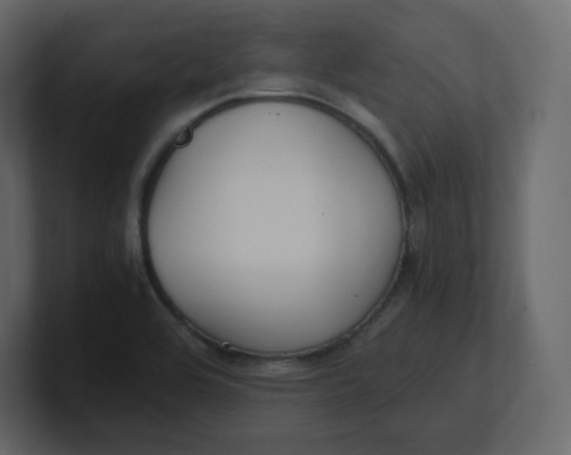 X0000100941464200807151255