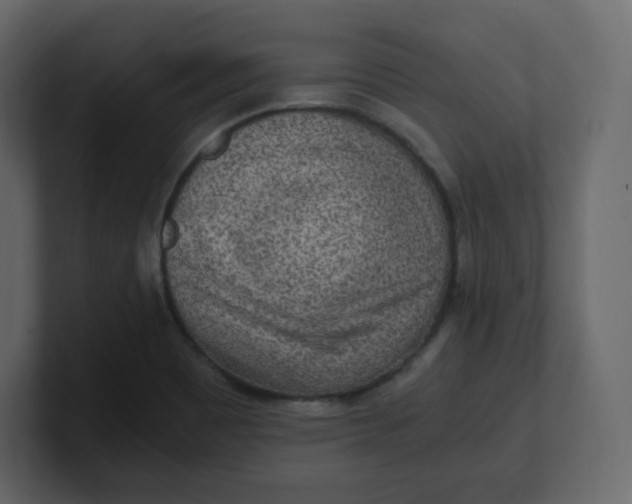 X0000100941465200807151255