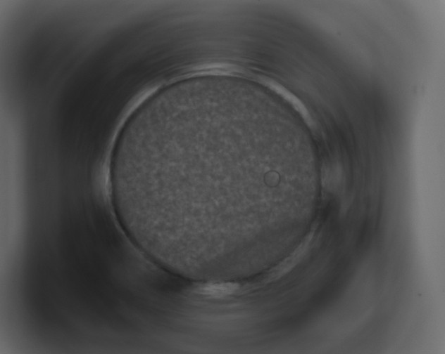 X0000100941466200807151255