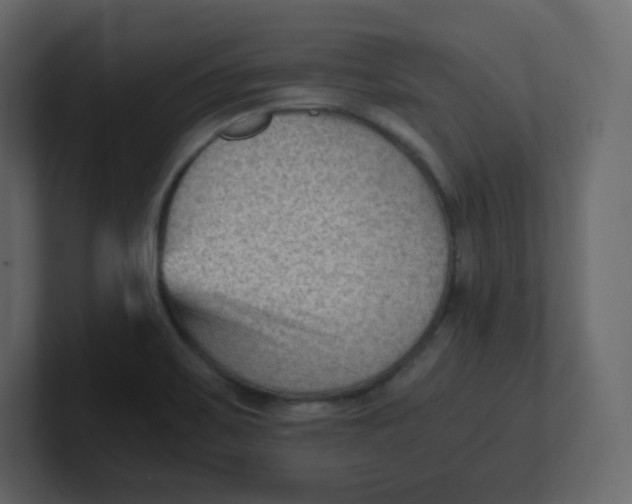 X0000100941467200807151255