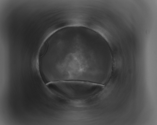 X0000100941468200807151255