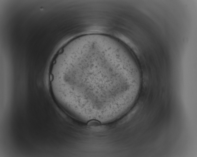 X0000100941469200807151255