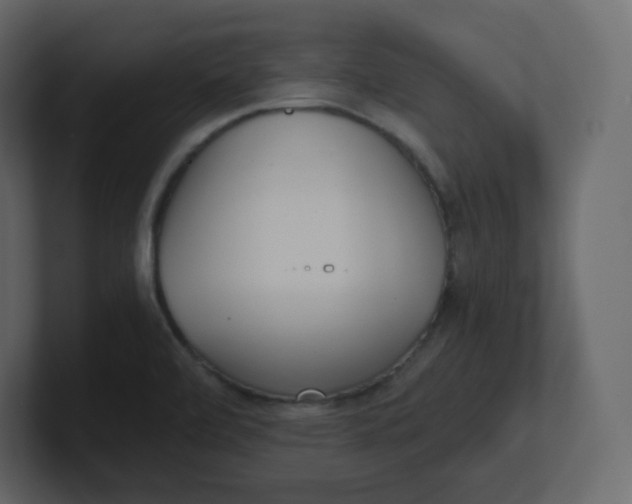 X0000100941472200807151255