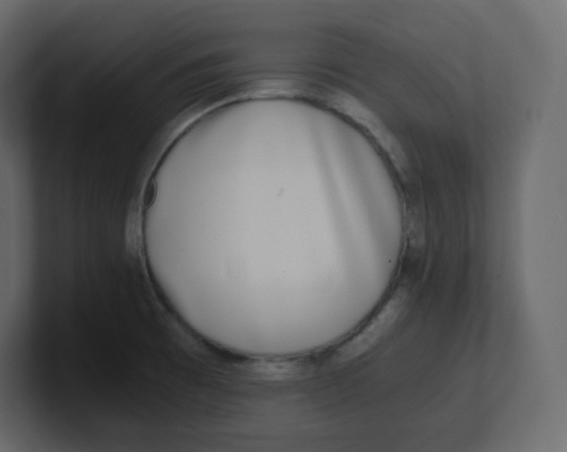 X0000100941473200807151255