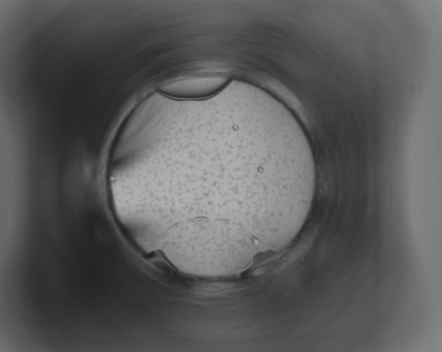 X0000100941475200807151255