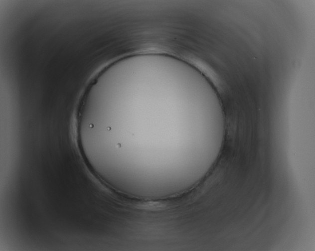 X0000100941476200807151255