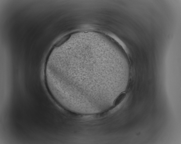 X0000100941477200807151255