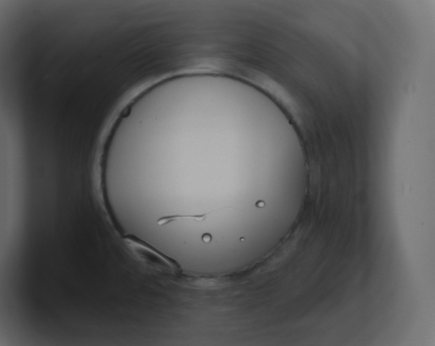 X0000100941480200807151255