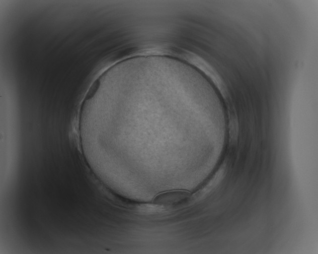 X0000100941481200807151255